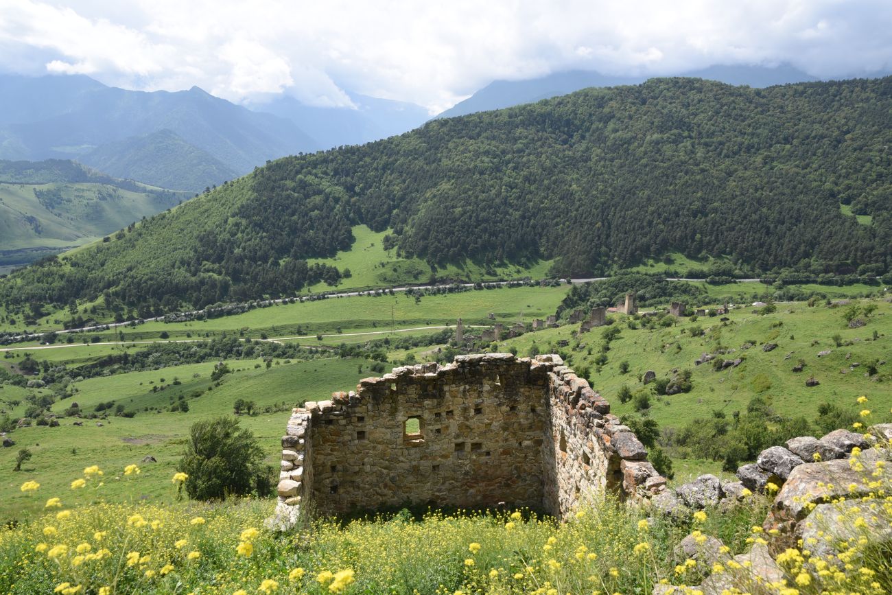 Бархане и окрестности, image of landscape/habitat.