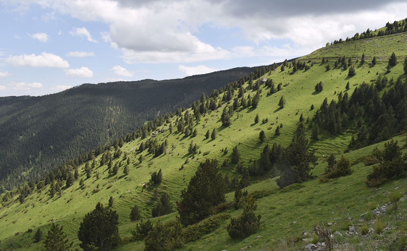 Сеткасес и Эспинабель, image of landscape/habitat.