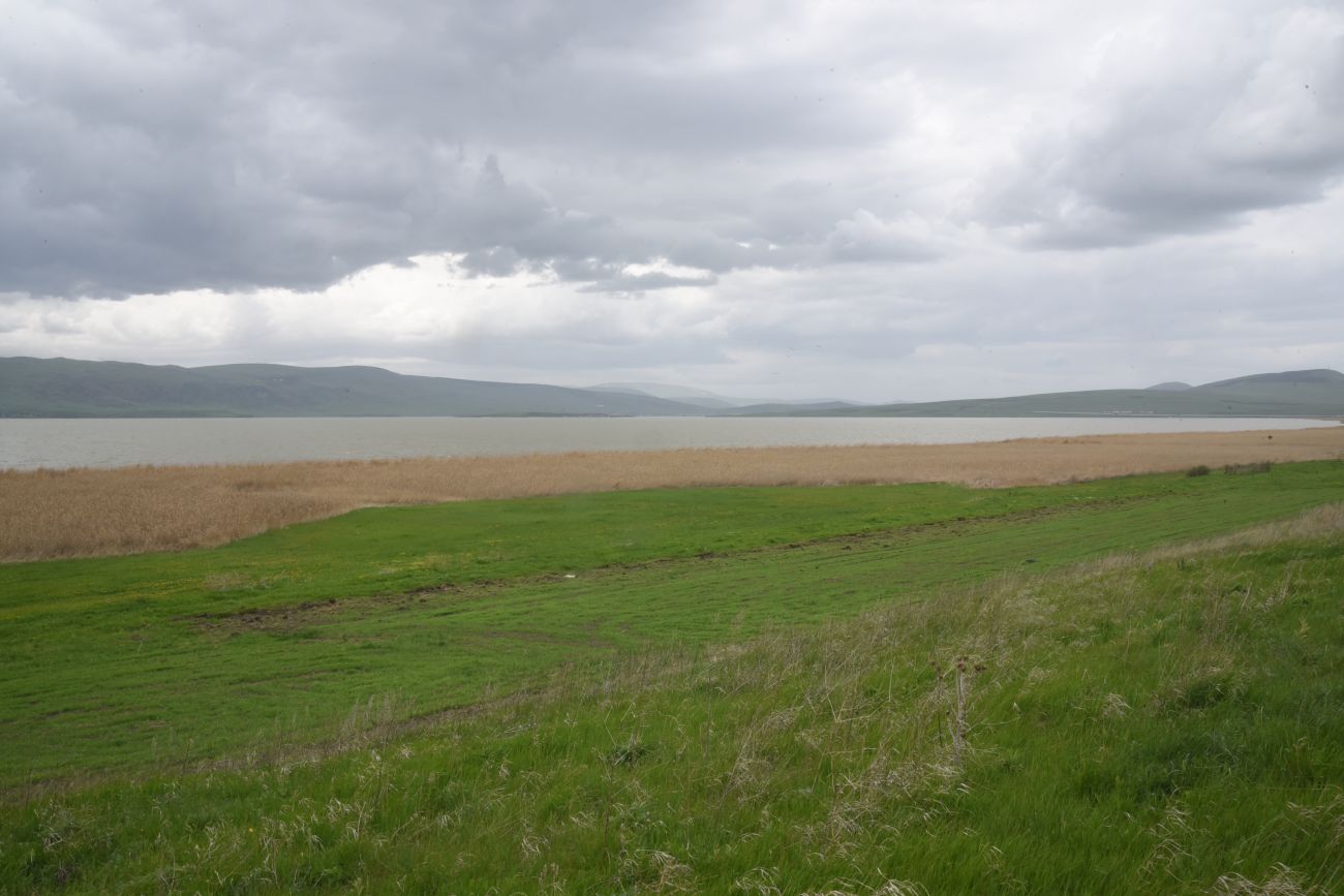Озеро Карцахи, image of landscape/habitat.