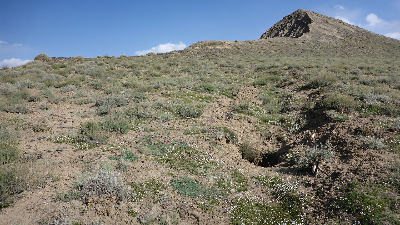 Марджанай, image of landscape/habitat.