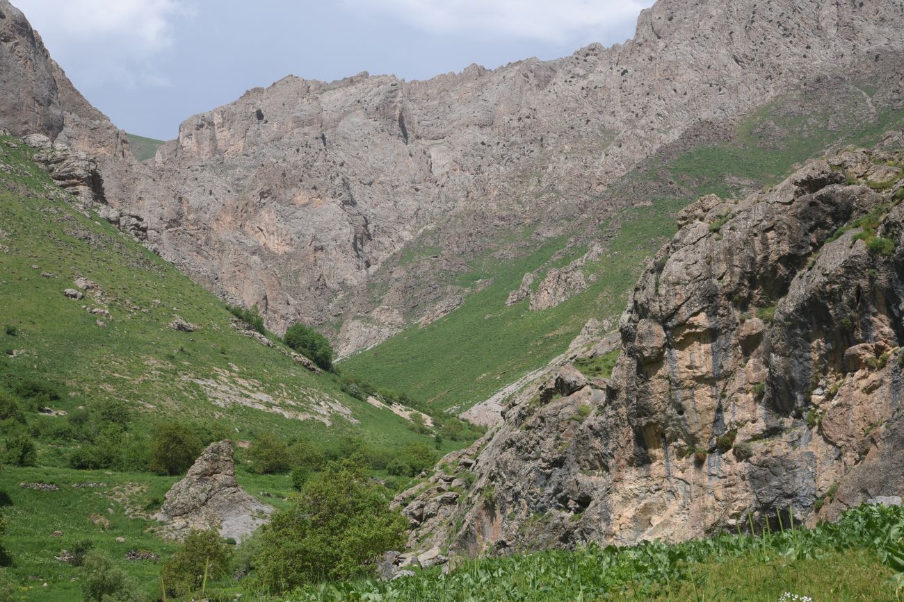 Несторианская церковь, image of landscape/habitat.