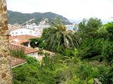 Image of landscape