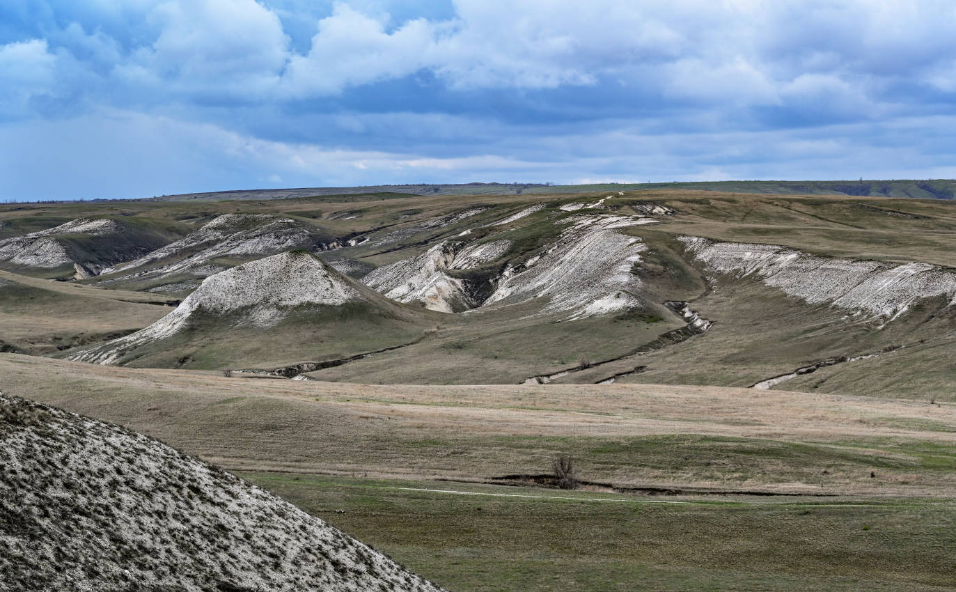 Природный парк "Донской", image of landscape/habitat.