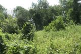 Image of landscape