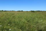 Местечко и окрестности, image of landscape/habitat.