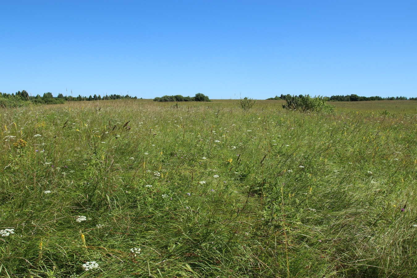 Местечко и окрестности, image of landscape/habitat.