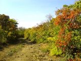 Image of landscape