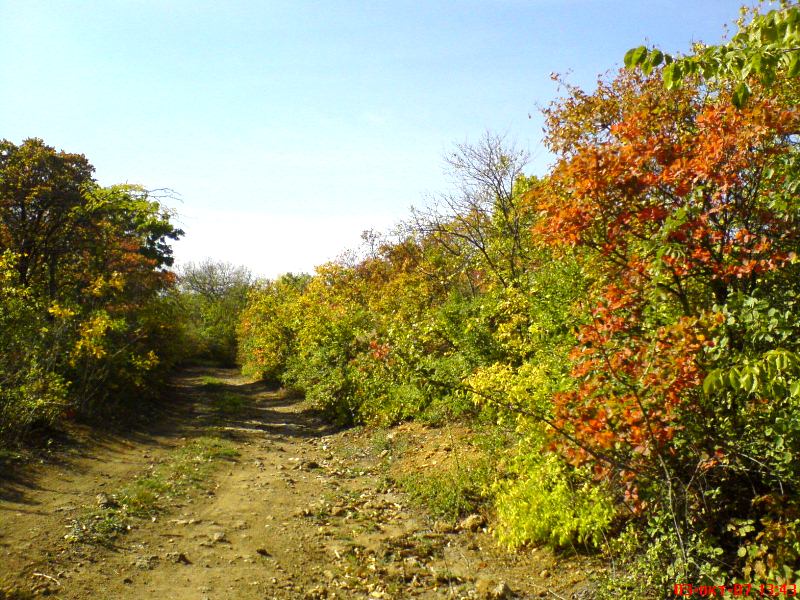 Севериновская гора, image of landscape/habitat.
