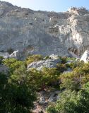 Image of landscape
