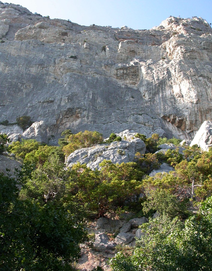 Батилиман, image of landscape/habitat.