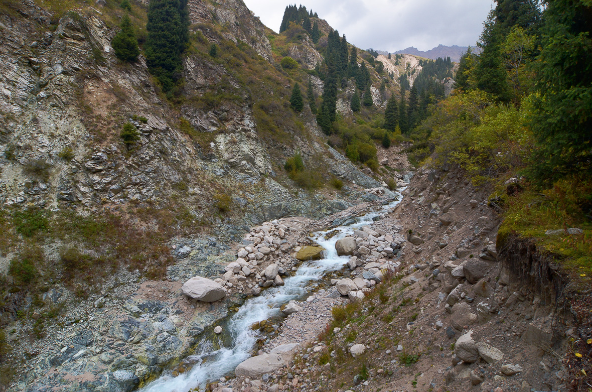 Кумбельсу, image of landscape/habitat.