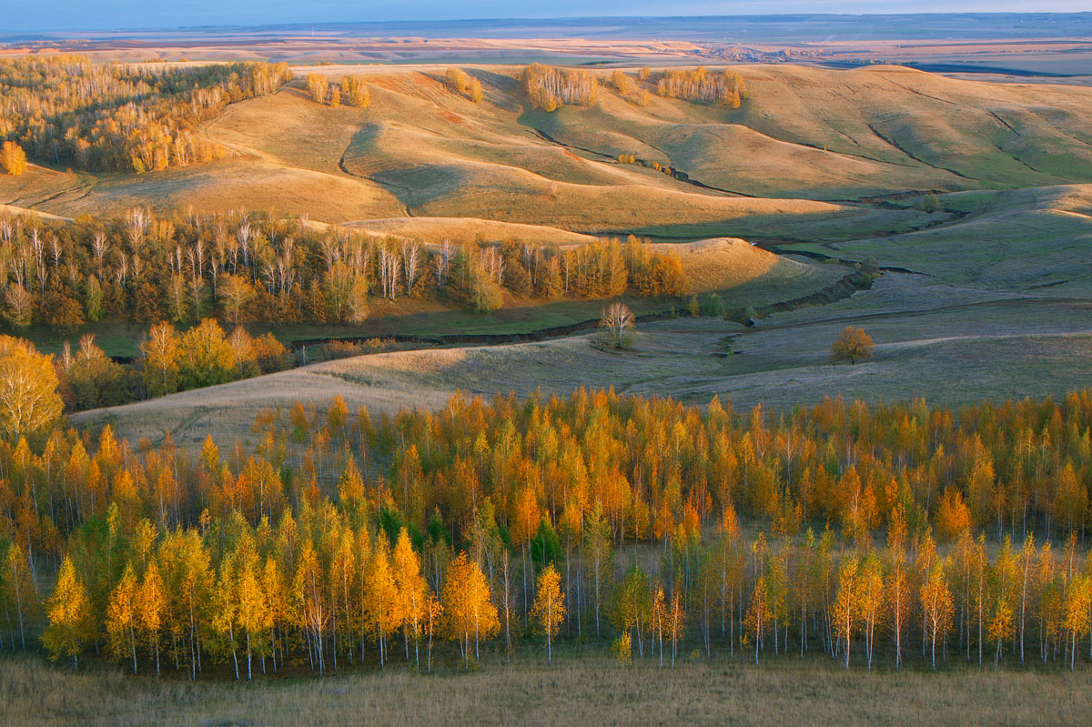 Заказник "Чатыр-Тау", image of landscape/habitat.