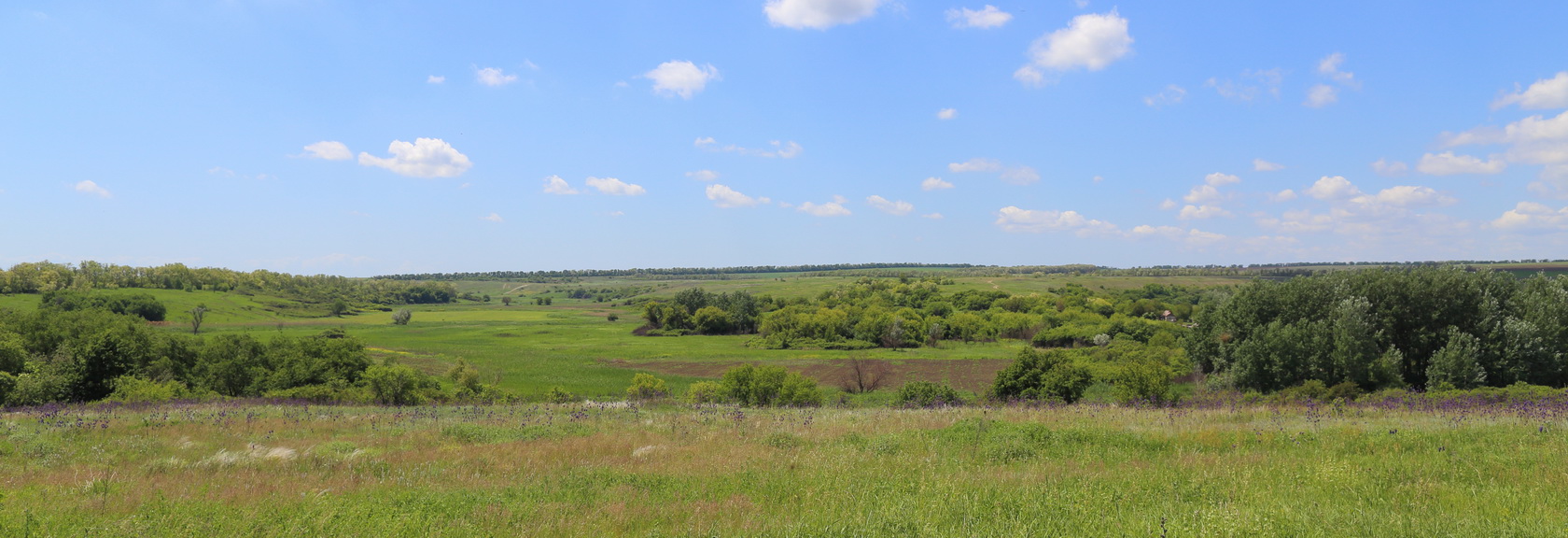 Долина реки С. Еланчик (Ф с/п), image of landscape/habitat.