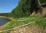Image of landscape