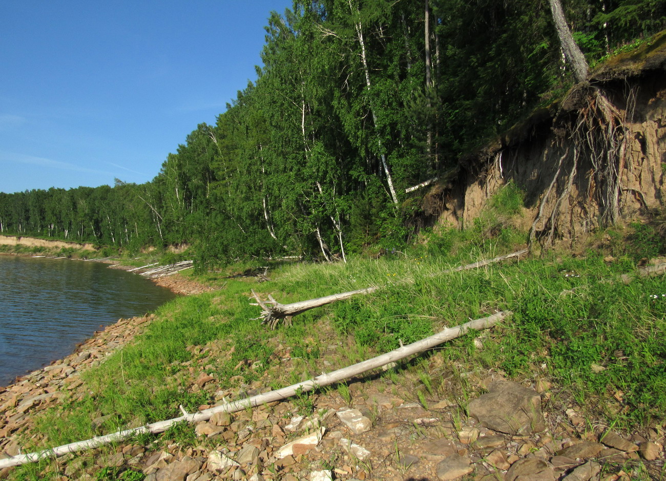 Убейский залив, image of landscape/habitat.