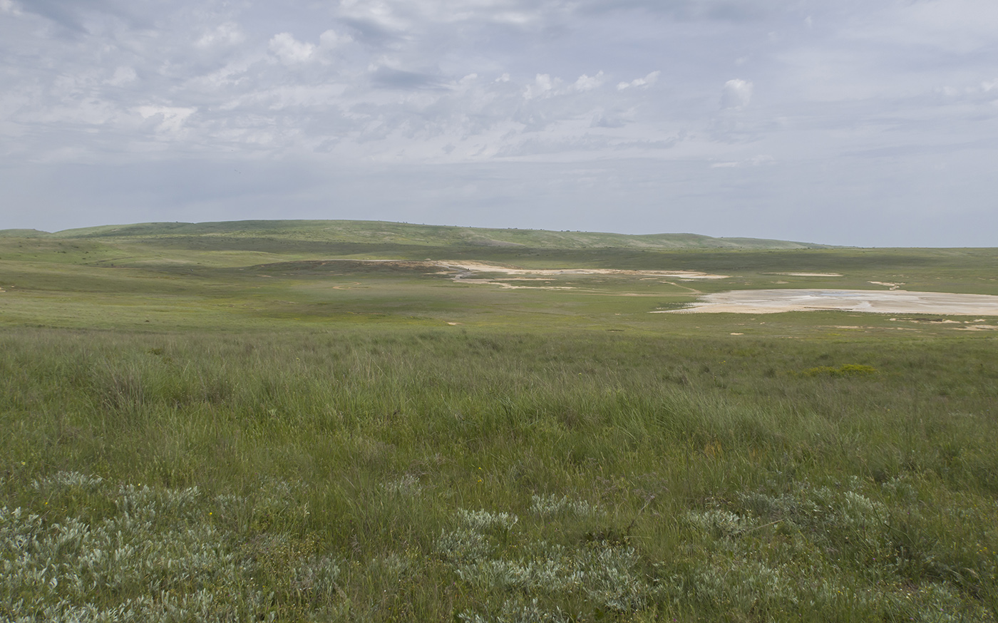 Булганакское сопочное поле, image of landscape/habitat.