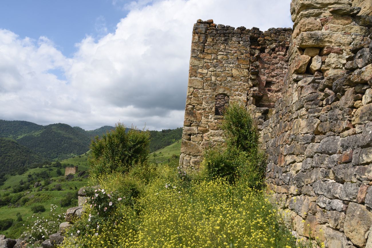 Бархане и окрестности, image of landscape/habitat.