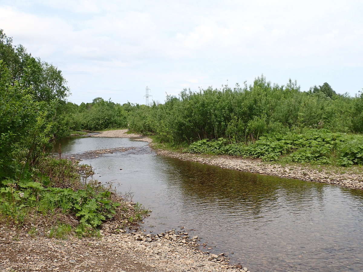 Комсомольск и окрестности, image of landscape/habitat.