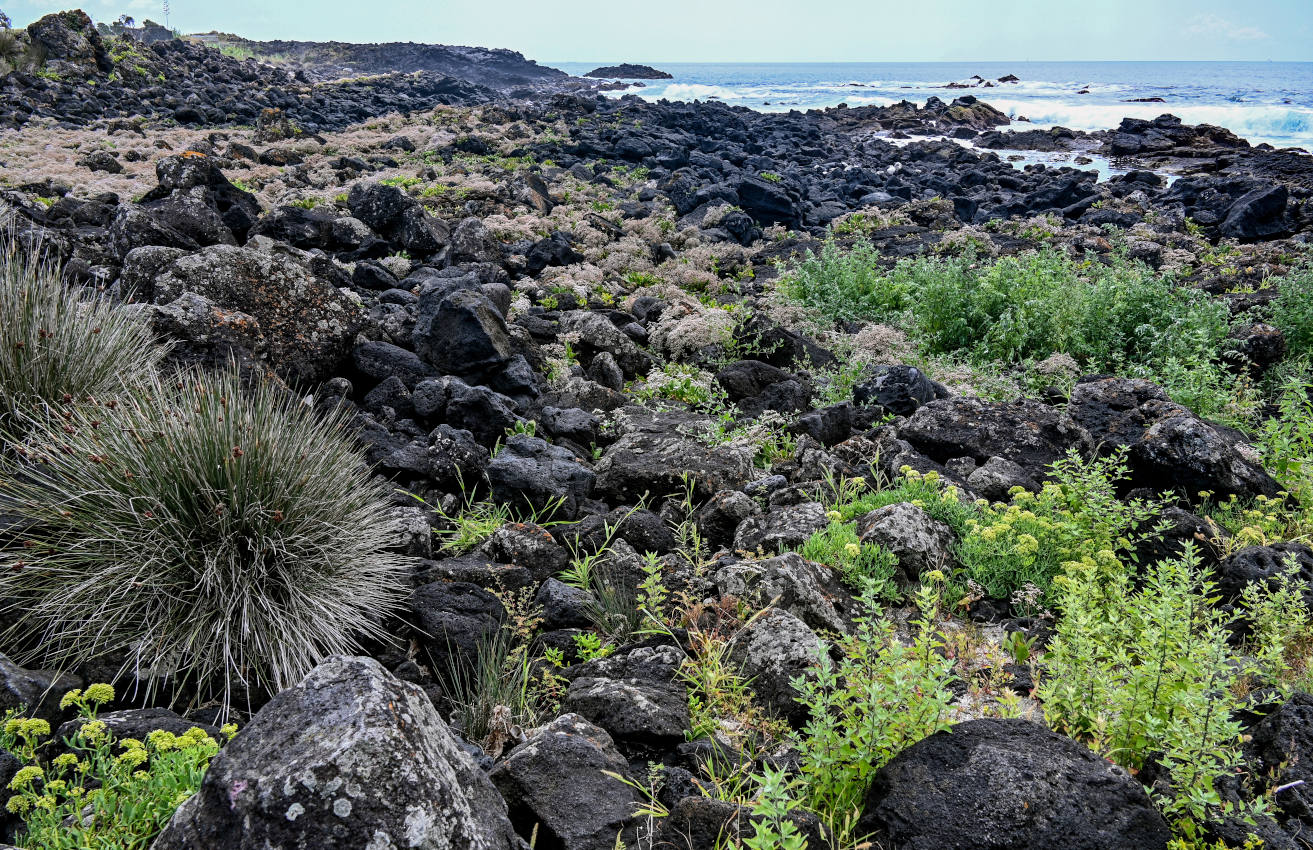 Агуа-де-Пау, изображение ландшафта.
