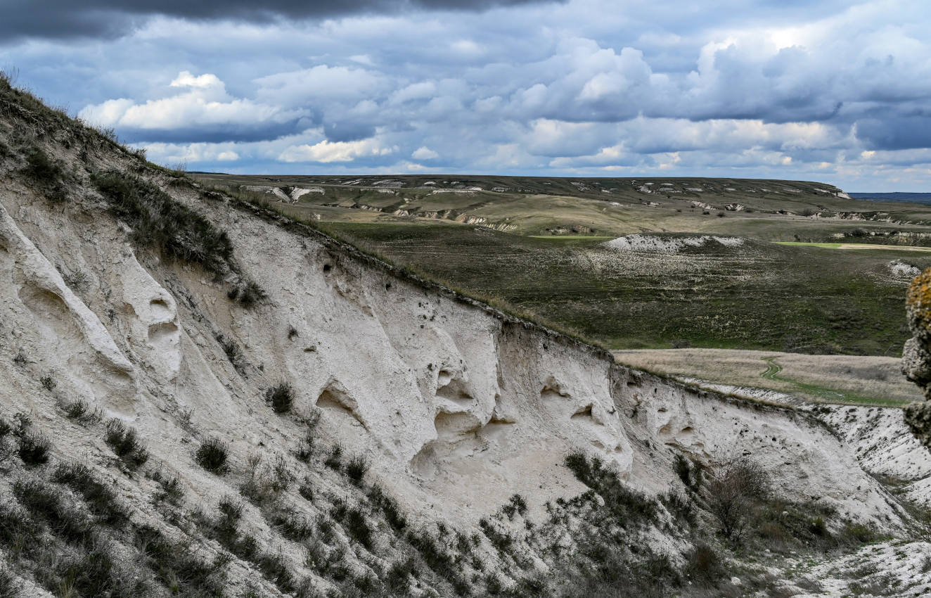 Природный парк "Донской", image of landscape/habitat.