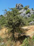 Image of landscape