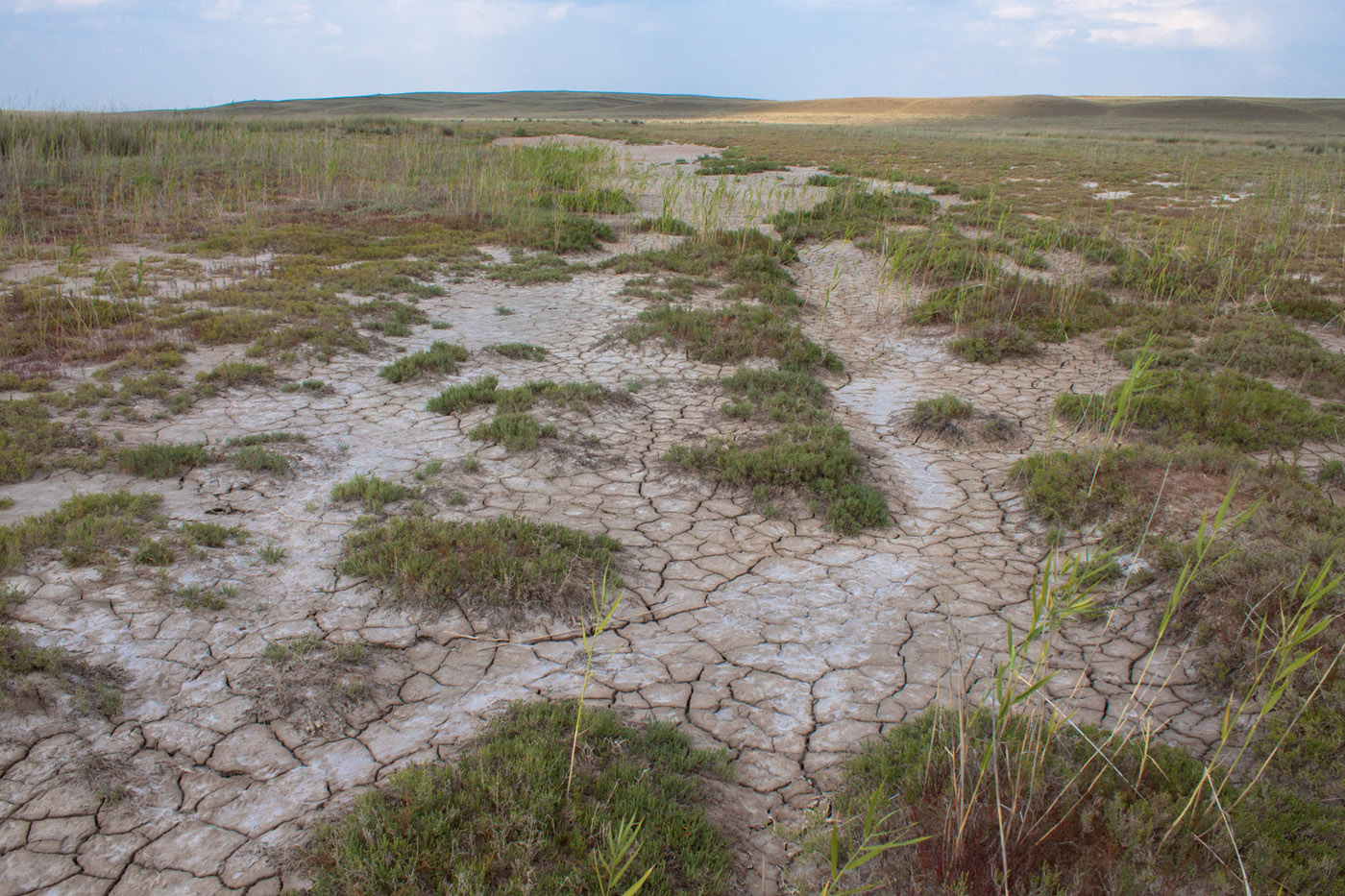 Кумола и Ащылысай, image of landscape/habitat.