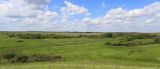 Image of landscape