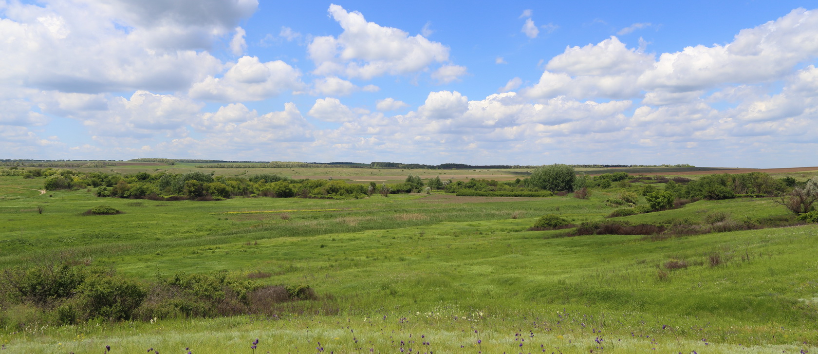 Долина реки С. Еланчик (Ф с/п), image of landscape/habitat.