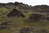 Лавовые пещеры вулкана Горелый, image of landscape/habitat.