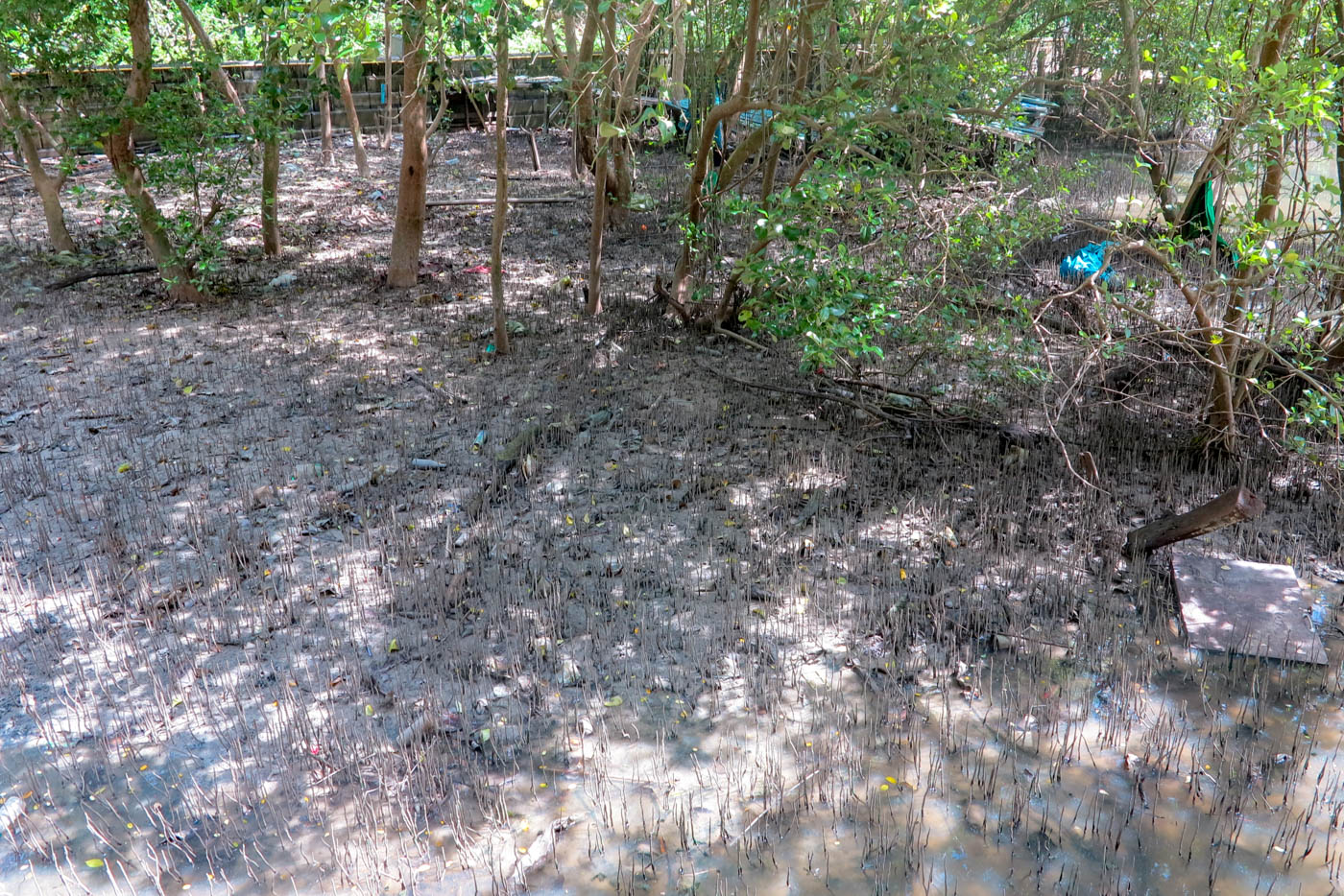 Пхукет, image of landscape/habitat.