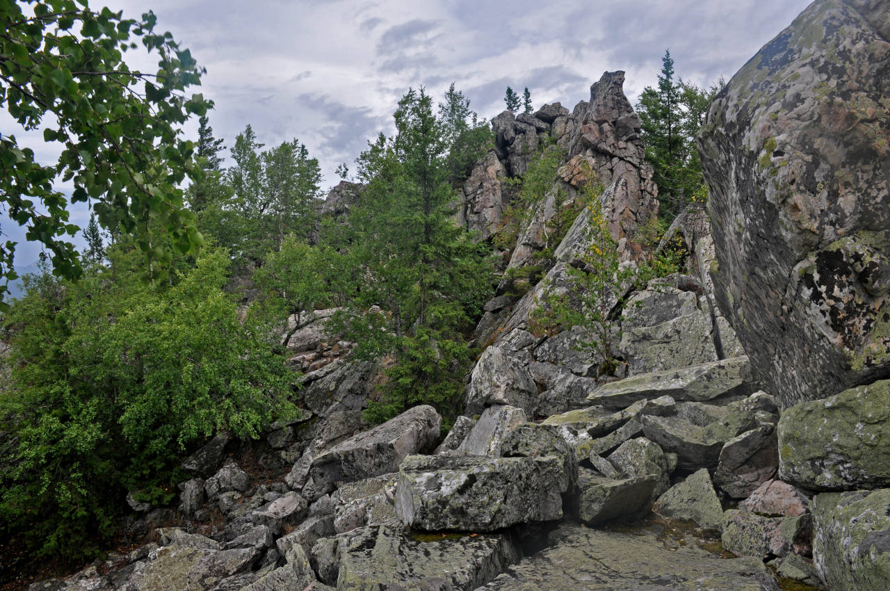 Александровская сопка, image of landscape/habitat.