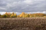 Image of landscape