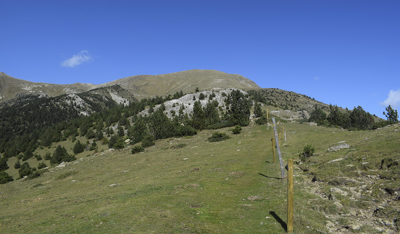 Сеткасес и Эспинабель, image of landscape/habitat.