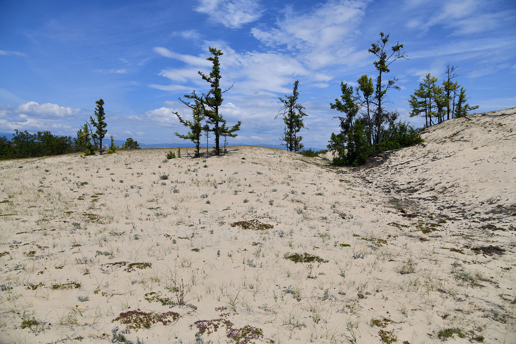 Ольхон, image of landscape/habitat.