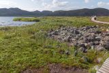 Териберка, image of landscape/habitat.