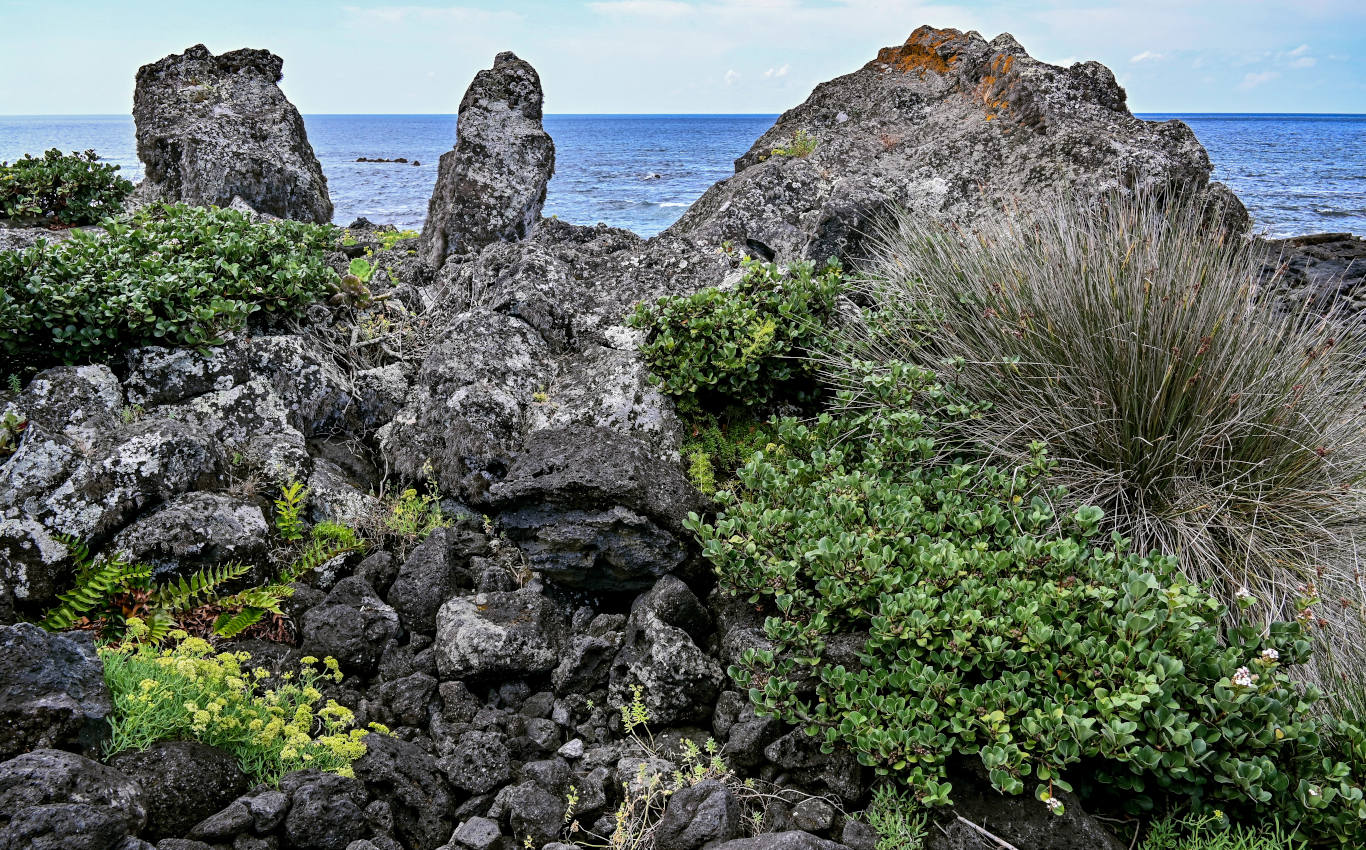 Агуа-де-Пау, изображение ландшафта.