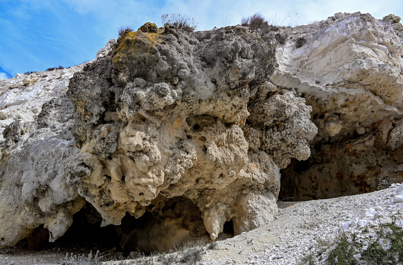 Природный парк "Донской", image of landscape/habitat.