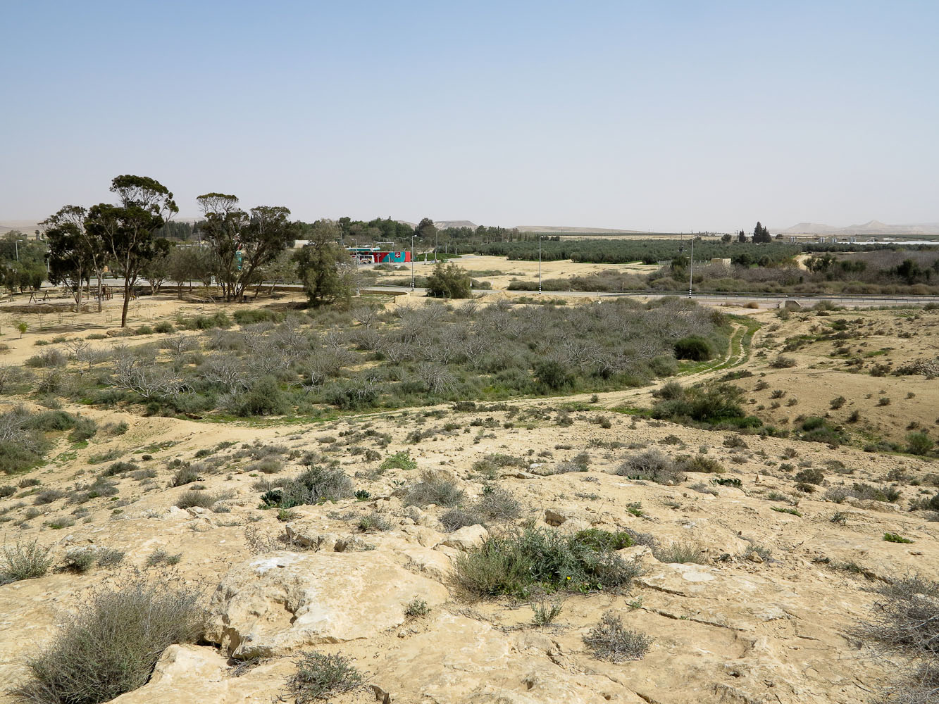 Негев, image of landscape/habitat.