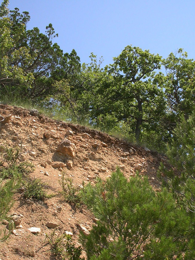 Батилиман, image of landscape/habitat.