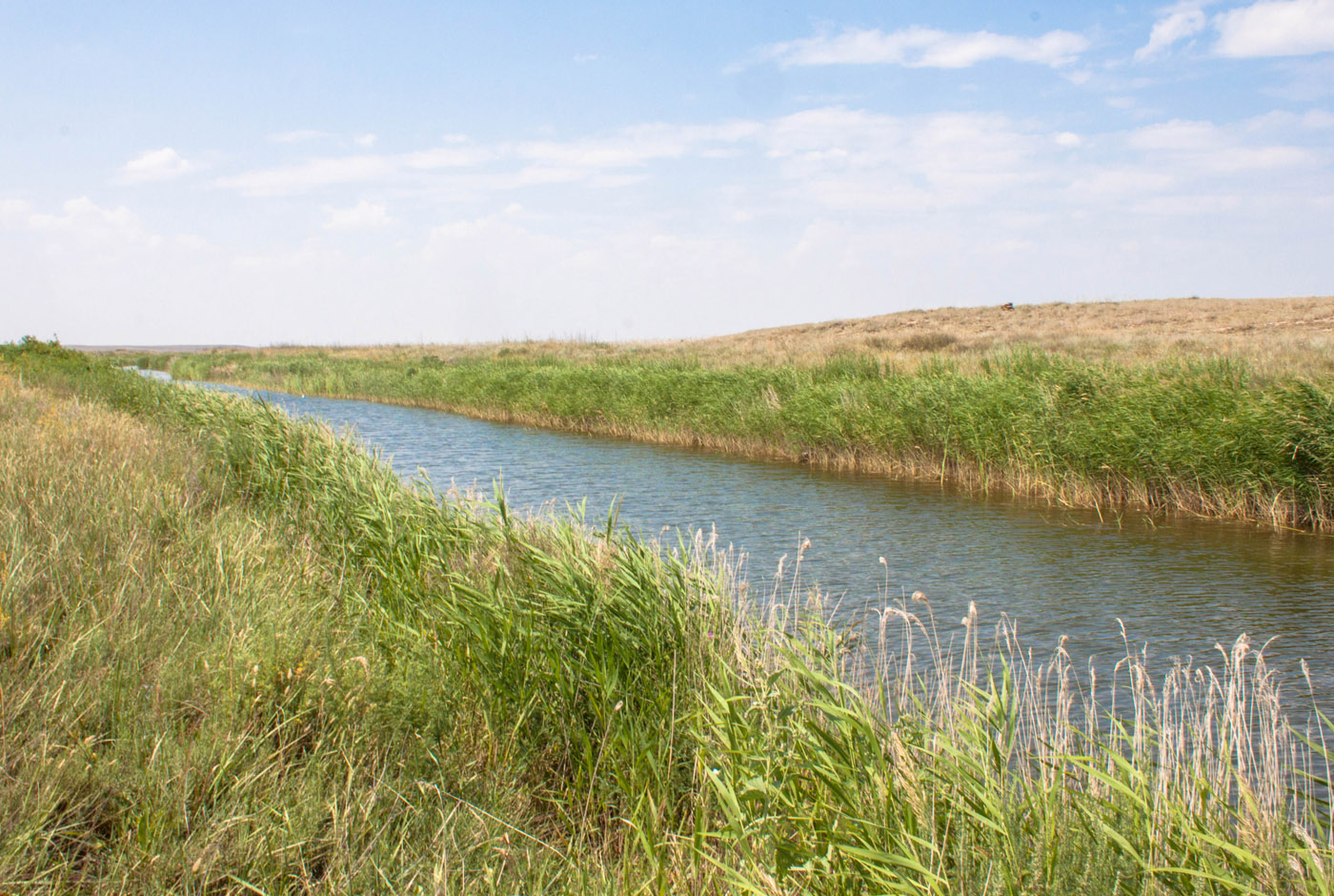 Кумола и Ащылысай, image of landscape/habitat.