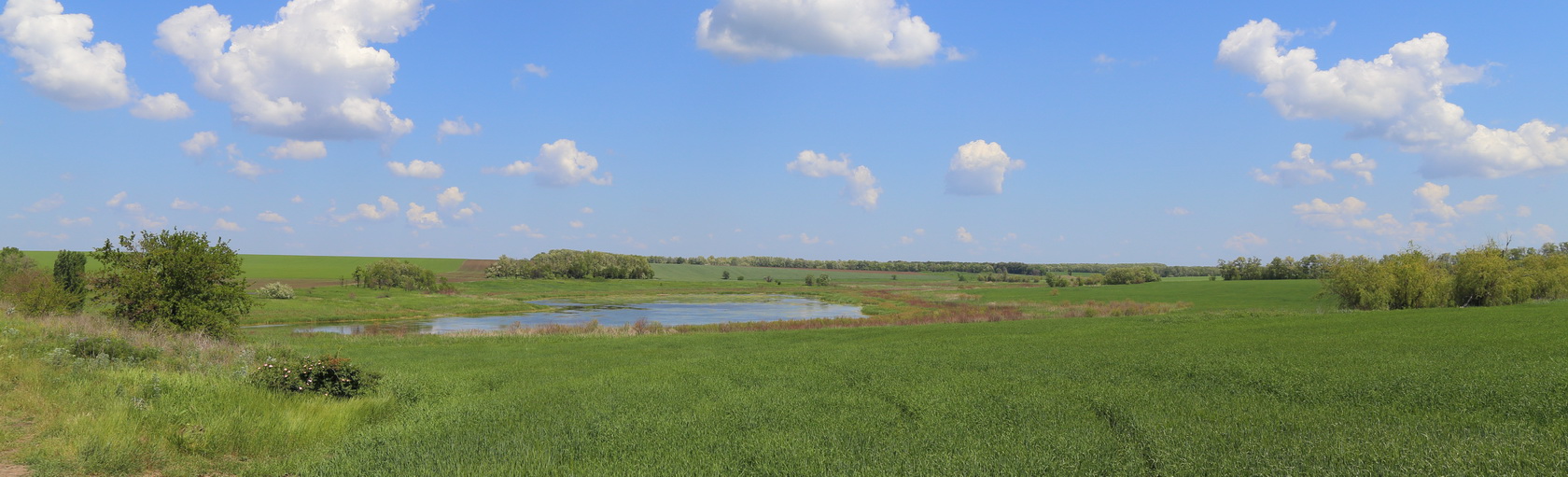 Балка Сухой Еланчик, image of landscape/habitat.