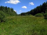 Image of landscape