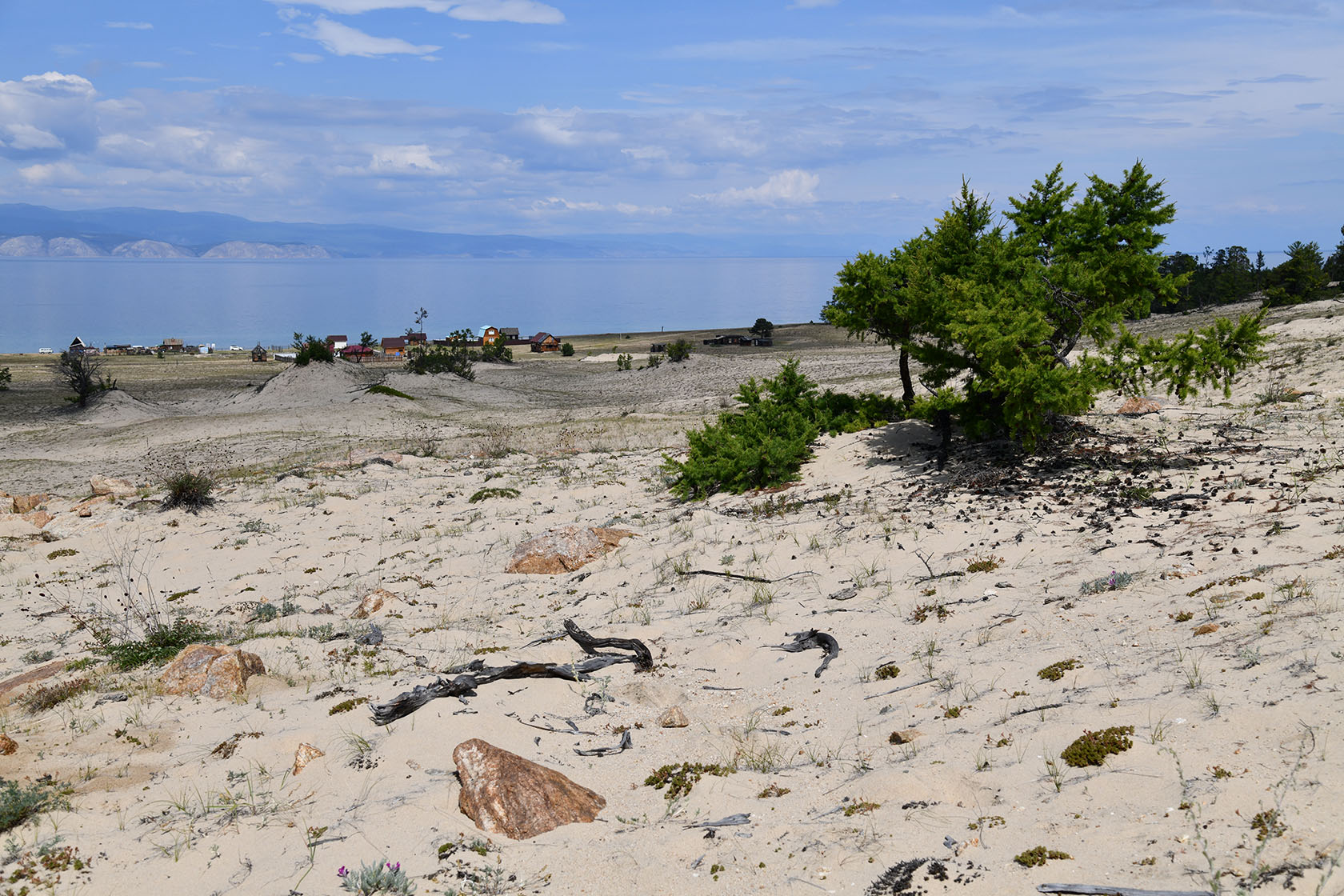 Ольхон, image of landscape/habitat.