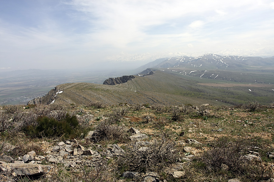 Горы Каракус, image of landscape/habitat.