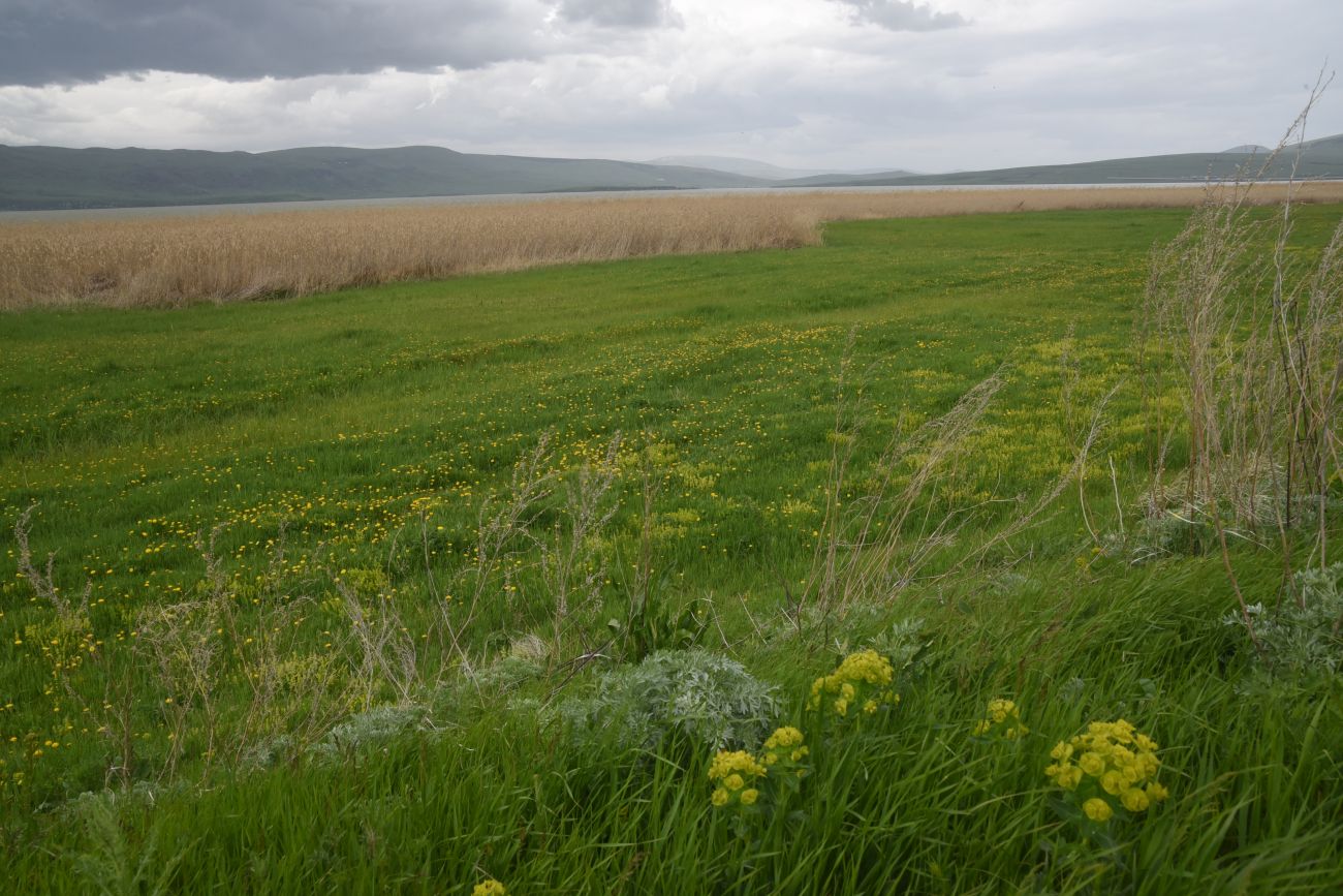Озеро Карцахи, image of landscape/habitat.