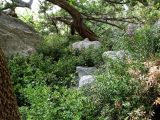 Image of landscape