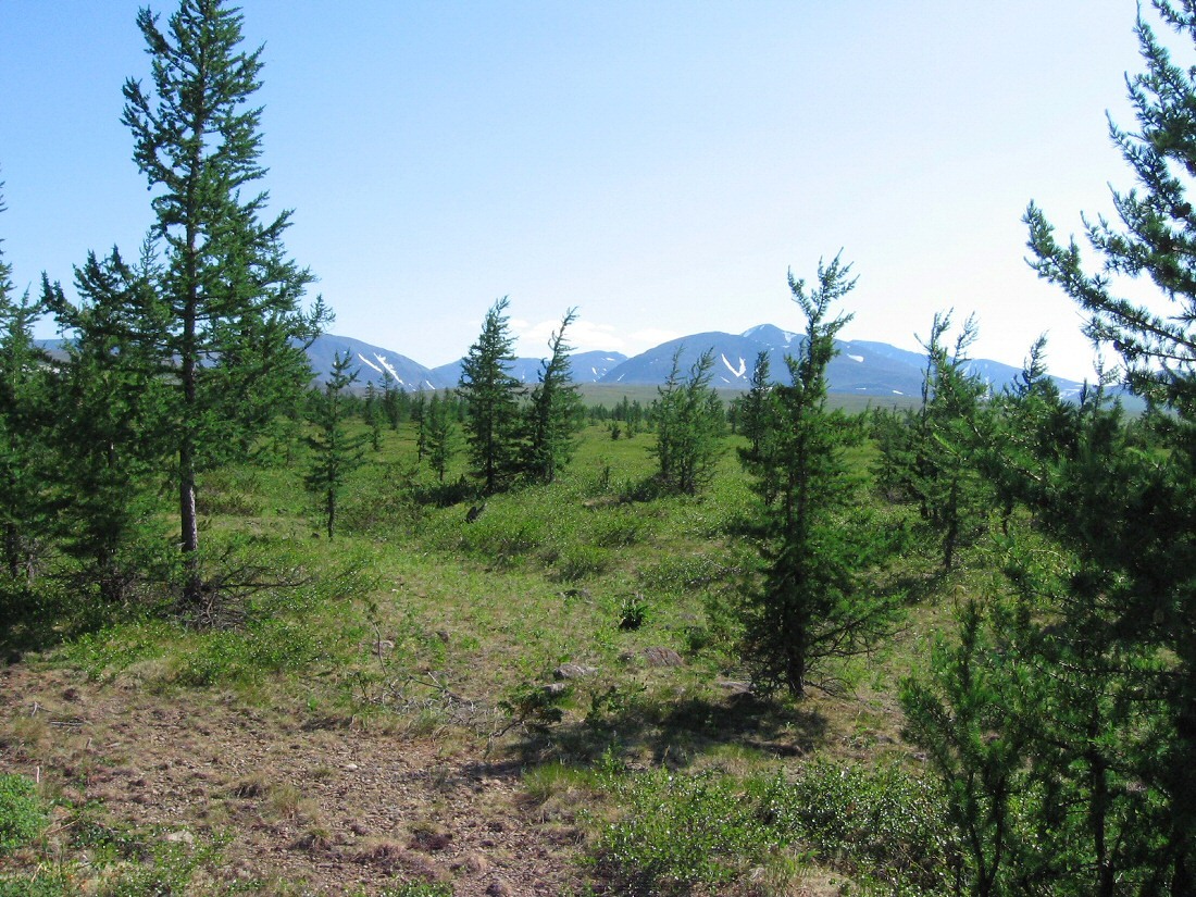 Верховья Харуты, image of landscape/habitat.