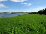 Image of landscape