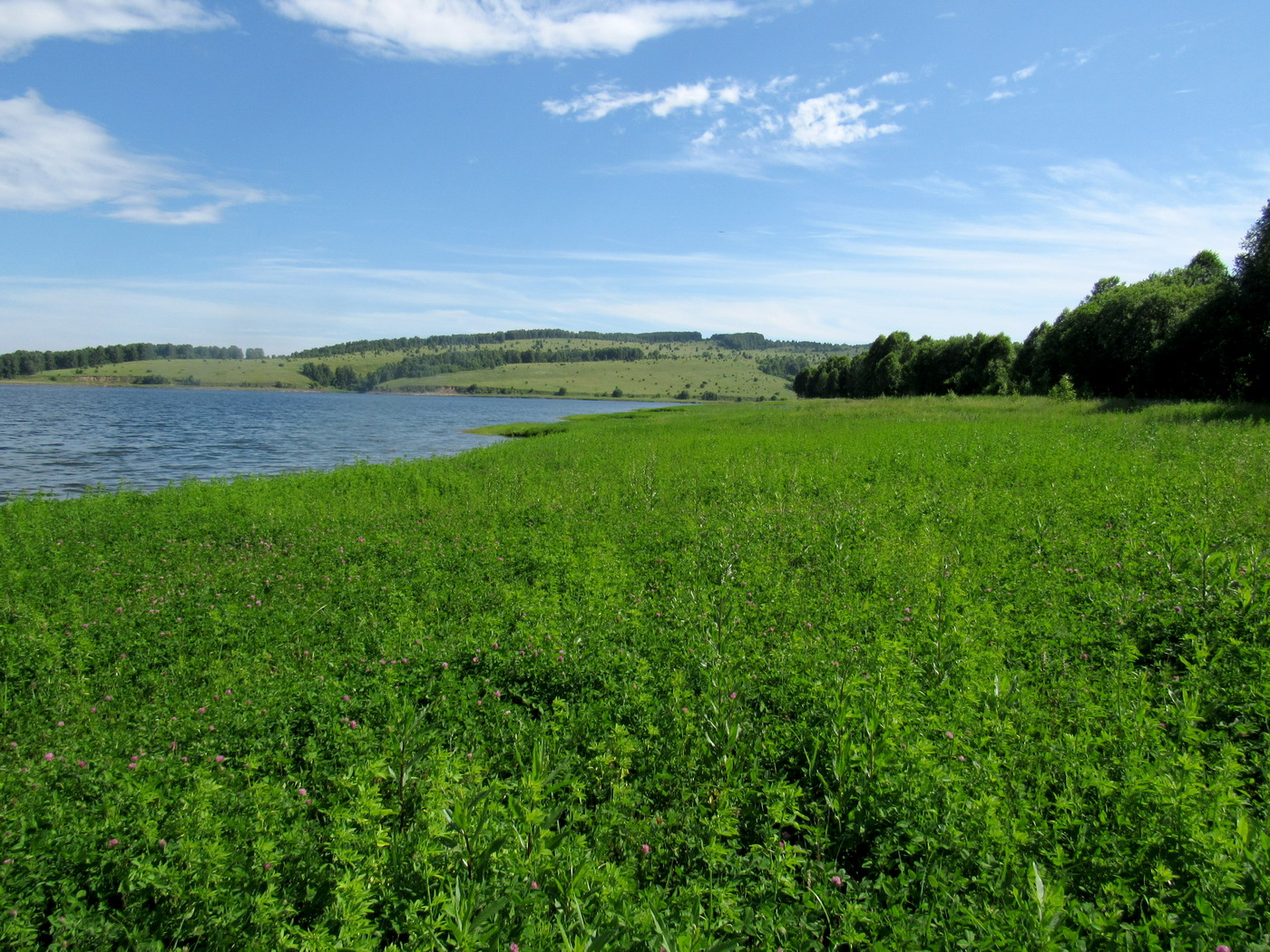 Убейский залив, image of landscape/habitat.