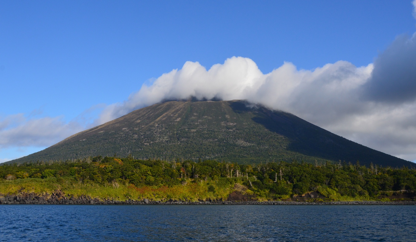 Лесозаводский, image of landscape/habitat.